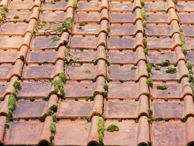 Roof tiles