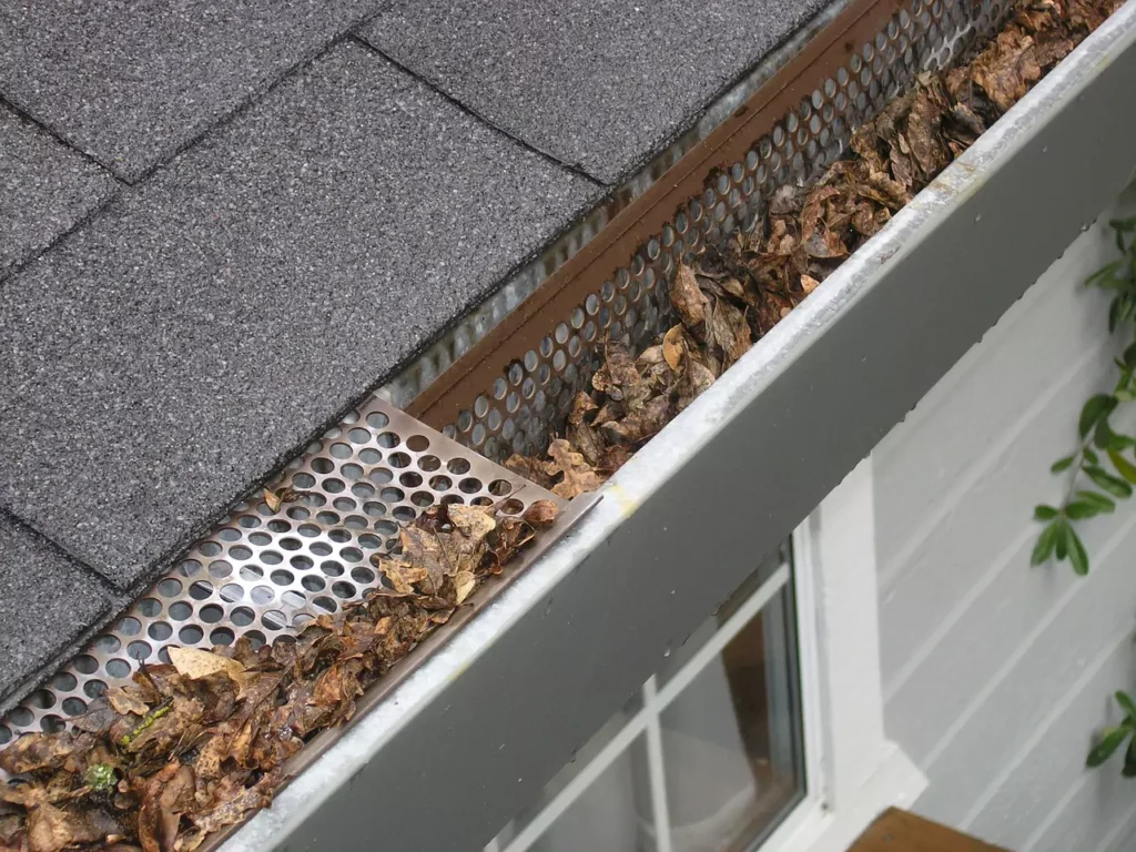 Gutter Cleaning Leaves