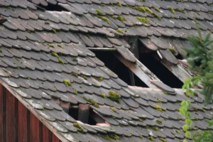 Roof Repair Quote