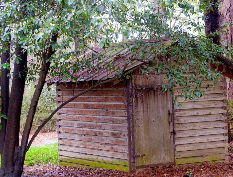 Garden Clearance