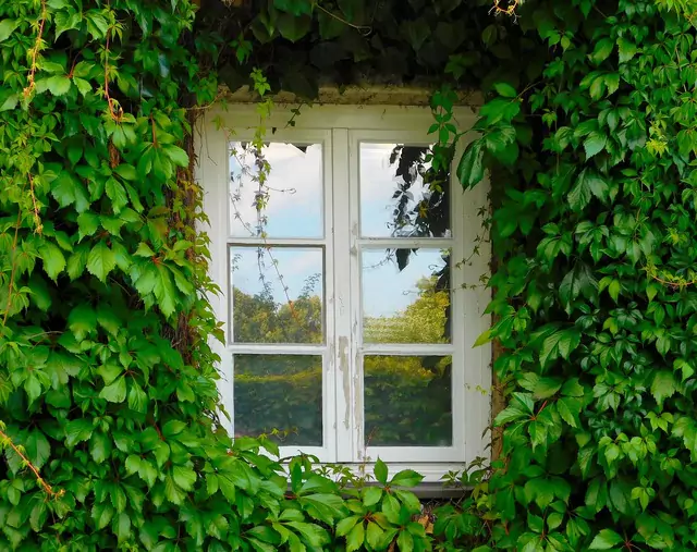 Door and Window Repair Across Harrogate