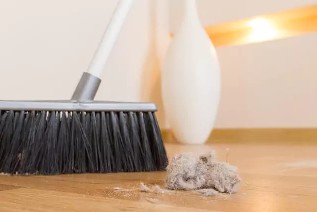 House Clean Service