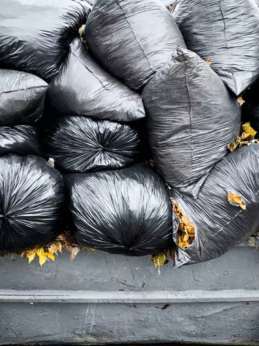 commercial trade waste collection