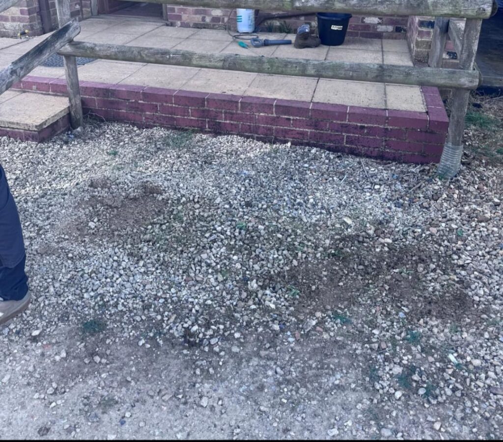Garden clearanced by the Buildings and Trust team